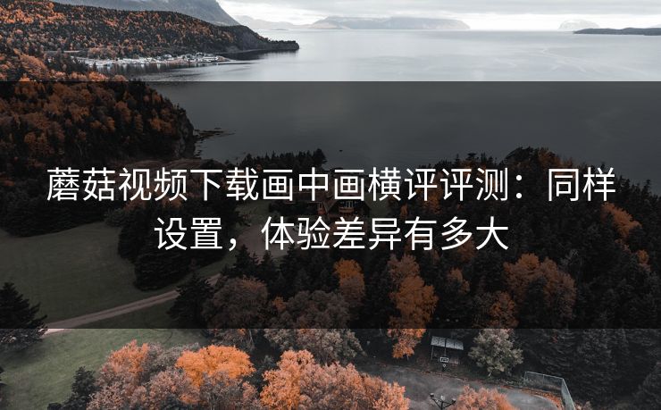 蘑菇视频下载画中画横评评测：同样设置，体验差异有多大