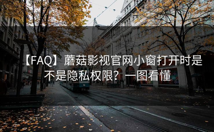 【FAQ】蘑菇影视官网小窗打开时是不是隐私权限？一图看懂